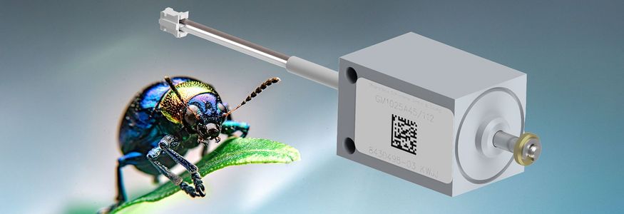 Ein blaues Insekt auf einem Blatt neben einem Elektromagnet von Magnetbau Schramme zur Veranschaulichung der Größenverhältnisse